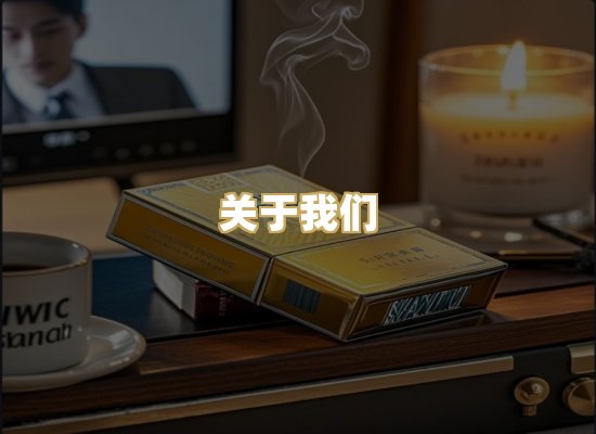 关于我们